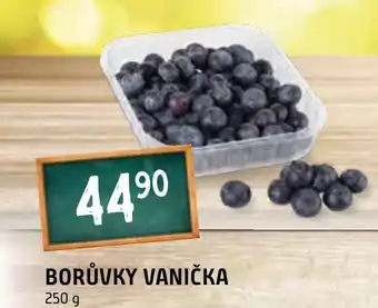 Terno BORŮVKY VANIČKA nabídka