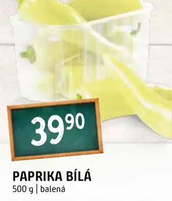 Terno PAPRIKA BÍLÁ nabídka
