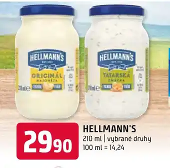 Terno HELLMANN'S nabídka