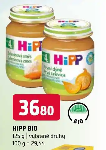 Terno HIPP BIO nabídka