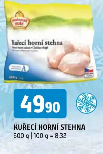 Terno KUŘECÍ HORNÍ STEHNA nabídka