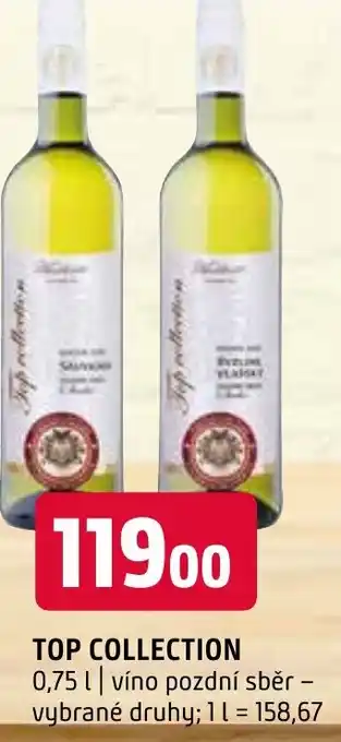 Terno TOP COLLECTION 0,75 l nabídka