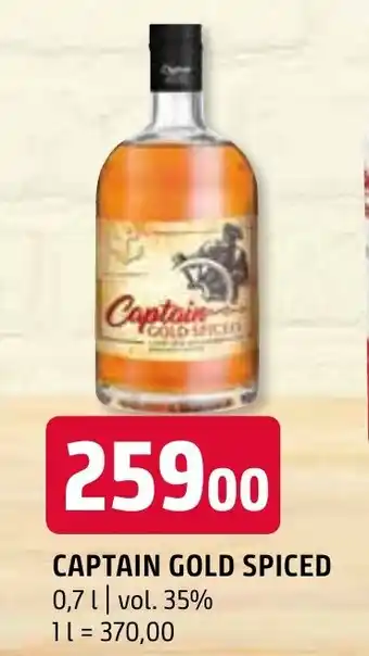Terno CAPTAIN GOLD SPICED 0.7L nabídka