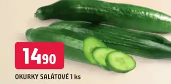 Trefa OKURKY SALÁTOVÉ 1 ks nabídka