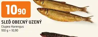 Trefa SLEĎ OBECNÝ UZENÝ nabídka
