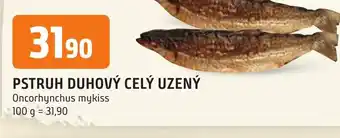 Trefa PSTRUH DUHOVÝ CELÝ UZENÝ nabídka