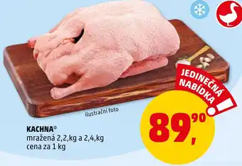 Penny Market KACHNA nabídka