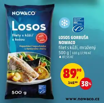 Penny Market LOSOS GORBUŠA NOWACO nabídka