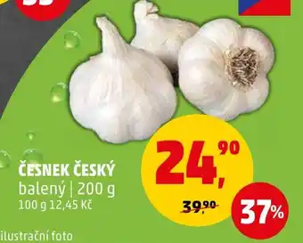 Penny Market ČESNEK ČESKÝ nabídka