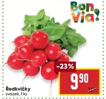 Ředkvičky