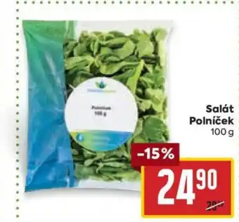 Billa Salát Polníček nabídka