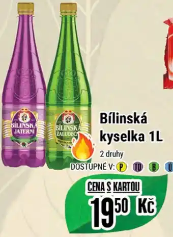 Tamda Foods Bílinská kyselka 1L nabídka