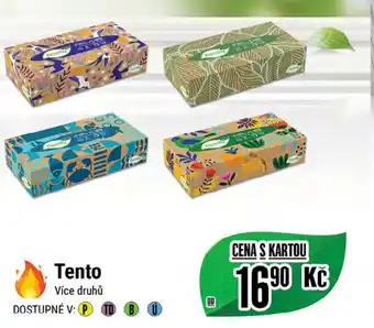 Tamda Foods Tento nabídka