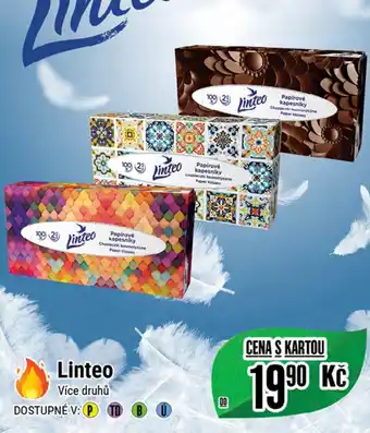 Tamda Foods Linteo nabídka