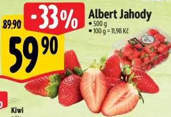 Albert Albert Jahody nabídka