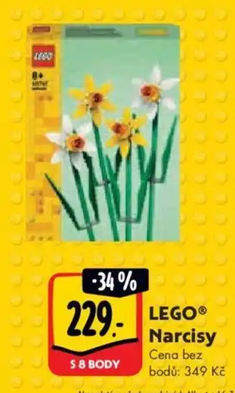 Albert LEGO Narcisy nabídka