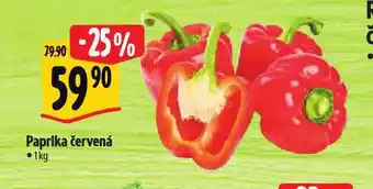 Albert Paprika červená nabídka