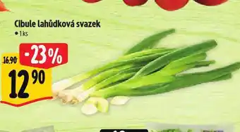 Albert Cibule lahůdková svazek nabídka