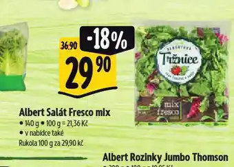 Albert Salát fresco mix nabídka