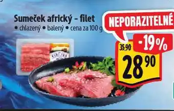 Albert Sumeček africký nabídka
