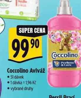 Albert Coccolino aviváž nabídka