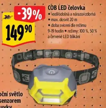 Albert COB LED čelovka nabídka