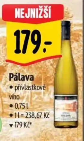 Albert Pálava nabídka