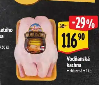 Albert Vodňanská kachna nabídka