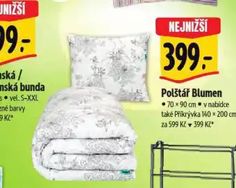 Albert Polštář nabídka