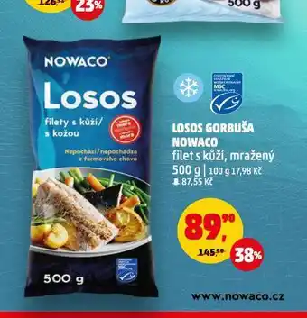 Penny Market Losos gorbuša nowaco nabídka