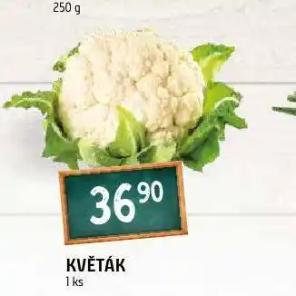 Terno Květák nabídka