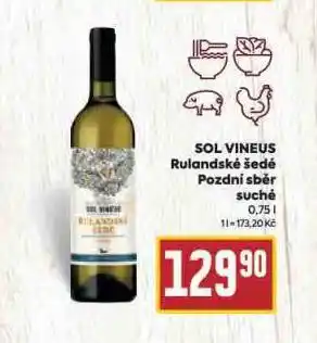 Billa Sol vineus rulandské šedé nabídka