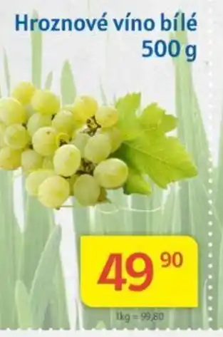 Kubík potraviny Hroznové víno bílé 500 g nabídka