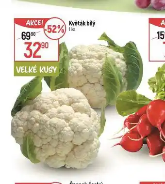 Globus Květák bílý nabídka