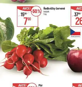 Globus Ředkvičky červené nabídka