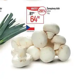 Globus Žampiony bílé nabídka