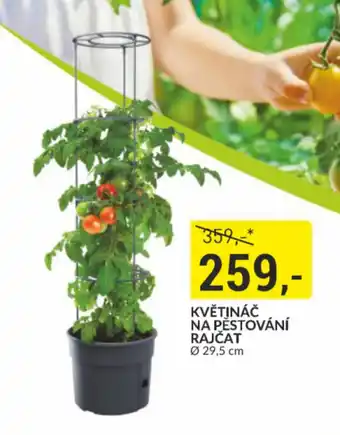 Baumax KVĚTINÁČ NA PĚSTOVÁNÍ RAJČAT nabídka