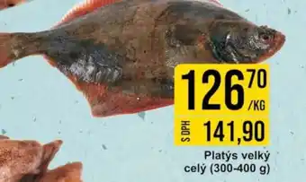 Jip Platys velký celý nabídka