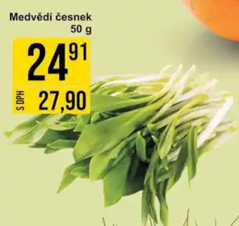 Jip Medvědí česnek nabídka