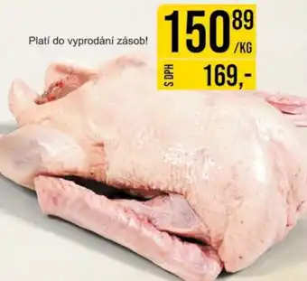 Jip Husa A nabídka