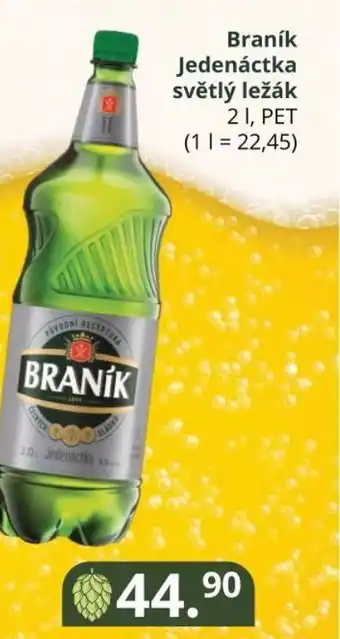 Potraviny CZ Braník Jedenáctka světlý ležák 2L nabídka