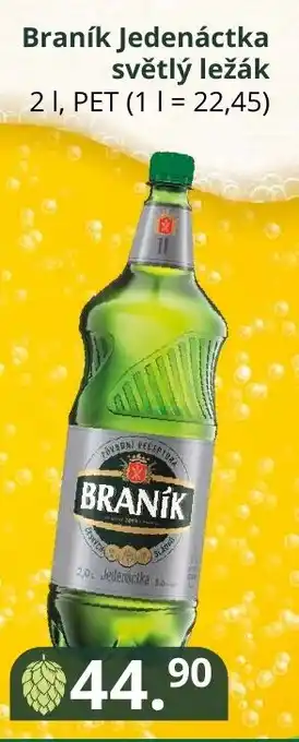 Potraviny CZ Braník Jedenáctka světlý ležák 2L nabídka