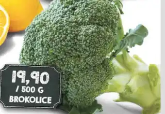 Jip BROKOLICE nabídka
