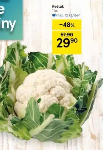 Tesco Květák nabídka