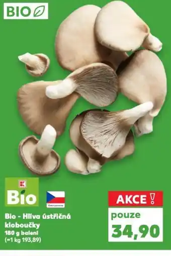 Kaufland Bio - Hlíva ústřičná kloboučky nabídka