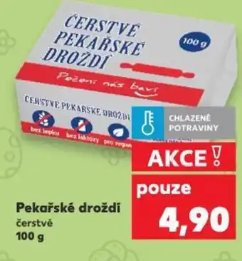 Pekařské droždí