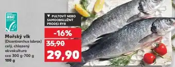Kaufland Mořský vlk nabídka