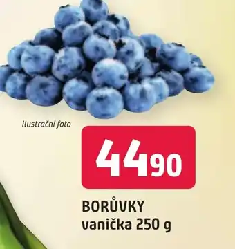 Trefa BORŮVKY vanička 250 g nabídka