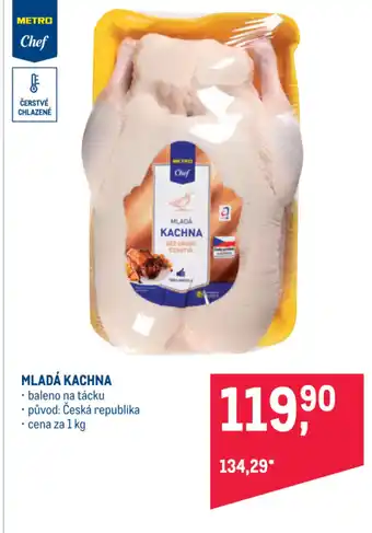 Makro MLADÁ KACHNA nabídka