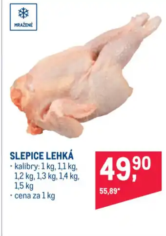Makro SLEPICE LEHKÁ nabídka